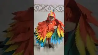 Macow parrot bird costume hand made work from craft paper .... #fancy dress 