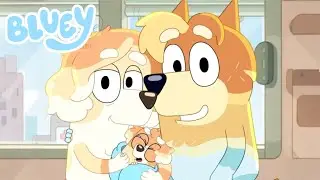Frisky Has a Son Too! | Bluey