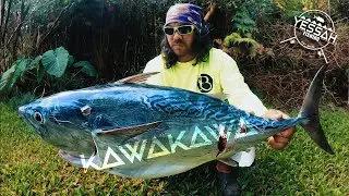 KAWAKAWA - mackerel tuna fishing hawaii | Pelagic from the rocks | Big Island Drone Fishing
