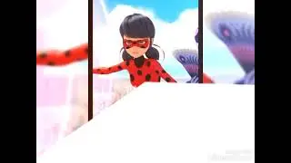 ladybg vs chat noir le question quel beau 😍😍😍😍