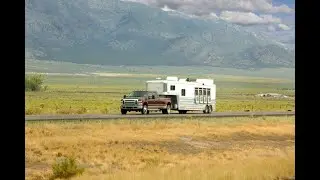 SERA Webinar: Long Distance Trailering With Horses