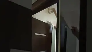 Scary Spider Fail | Death to Boredom #shorts