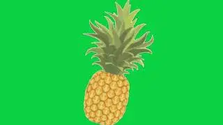Pineapple animated green screen video for Youtubers copyright free