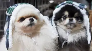 메리크리스마스🎄