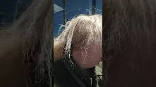May 12, 2021. My new video blog. My older, physically challenged, disabled, and has special needs,