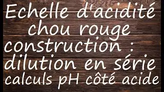 Echelle d’acidité chou rouge : Construction + Calculs côté acide