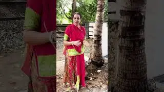 Perfectly Inelastic Collision | Real Life Example | NEET JEE Physics #physicsconcepts