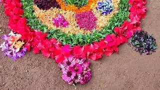 ATHAPOOVU💐💐💐💐💐#Home grown Flowers#ONAM#4KVideo