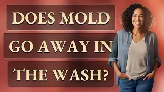 Does mold go away in the wash?