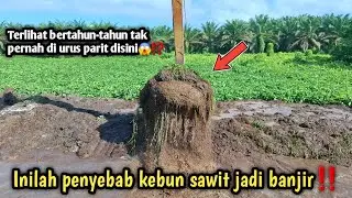 Inilah penyebab kebun sawit jadi banjir‼️Terlihat bertahun-tahun tak pernah di urus parit disini😱⁉️