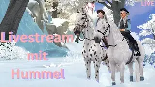 Livestreamm mit Hummel 🐝 | Livestream | Star Stable Online | Server 17 Ice Cream Mountain