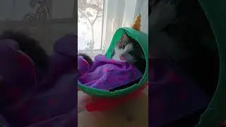 #funny #irringtone #cat #viringtone #funnyanimals #печникпинск #ringtone