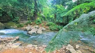 Moonlit River Sounds – Gentle Water Flow Ambience to Help You Fall Asleep Faster