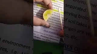 easy way to remove  highlighter ✨ from paper 📄