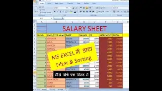 data filter and data sorting in ms excel | डाटा फिल्टर करना व सार्टिंग करना सीखें