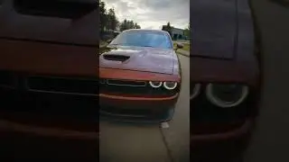 Dodge challenger cinnamon stick #dodgechallenger #dodgecinnamon #dodge #dodgeclub #dodgecharger