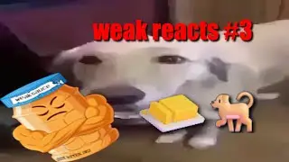 weak reacts #3: butter dog