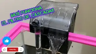 As&iacute; funciona el filtro de cascada aquaocean !! #aquarius #filtros #aquarium #cascada #acuario #usa