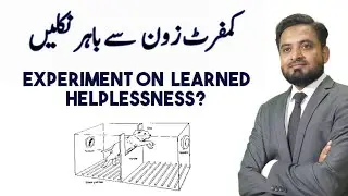 The Comfort Zone and Learned Helplessness | By Asif Ali Khan