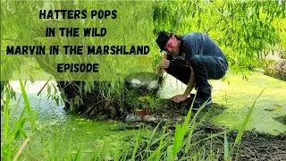 Hatters Pops In The Wild Mavin In The Marshland Episode | Funkos | Funko Pops | Photography #funko