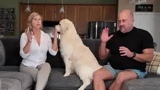 Dog's Funny Reaction to the Freeze Challenge 😂