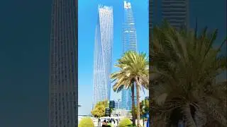 Dream Views &ndash; Dubai Marina #shorts #dubaimarina #dubailfe