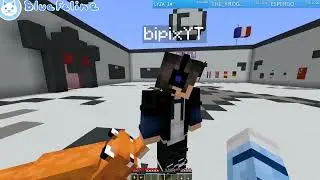 Minecraft avec bipix ! Tryhard des NinjaMoves - Rediffusion Twitch