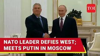 Shockwaves In West & Ukraine As NATO Leader Meets Putin In Moscow Amid War | Watch