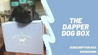Dapper Dog Box Unboxing | Subscription Box Showdown