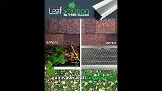 Evelyns's Leaf Solution