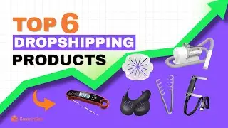 Top 6 Dropshipping Bestsellers 2026 &mdash; Sell Now ✅