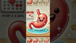 mind blowing facts about stomach !
