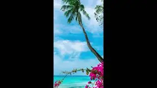 [FREE] (HARD) Tropical Type Beat - 