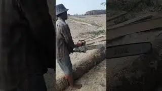 Machine Chainsaw #chainsaw #stihl #husquvarna #wood #machine #shorts #wheelsaw #youtubeshorts #viral