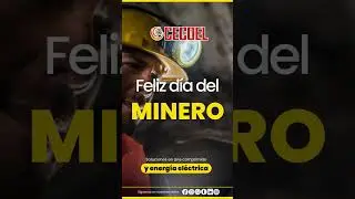 #𝗗𝗶́𝗮 𝗱𝗲𝗹 𝗠𝗜𝗡𝗘𝗥𝗢 👷👷 #shorts