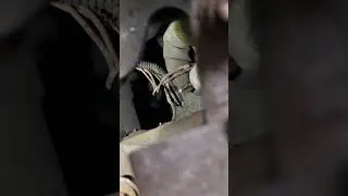 Bad quality repair. Fix. Crankshaft sensor. Car dont start
