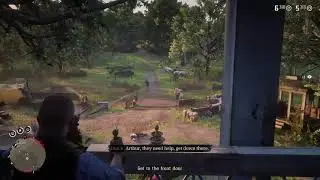 900 hours in red dead 2