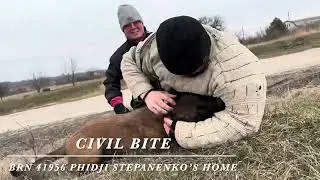 &laquo;Битва за ресурс 18+&raquo; Training Civil Bite BRN 41956 Phidji Stepanenko&rsquo;s Home