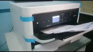 Cetak NCR Color + Nomerator