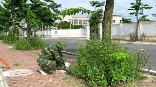 Заросшая трава перед стадионом, который я вызвался убрать, прежде чем он превратился в лес