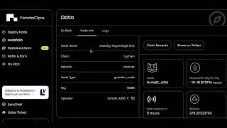 node ops running HYTOPIA NODE dashboard