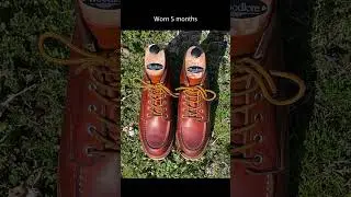 Red Wing 6-Inch Classic Moc Toe in S.B. Foot Oro Legacy