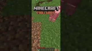 Minecraft Cool Mods!!✨🤯