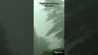 Сильный шквал в Беларуси #гроза #storm #russia #lightning #ураган #belarus #ветер #шквал