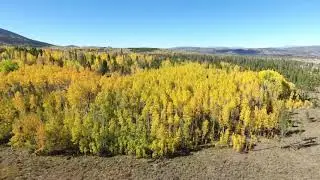 Winter Park - Fraser Valley fall colors