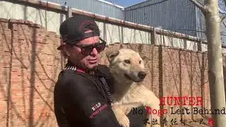 NO DOGS LEFT BEHIND: Hunter