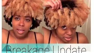 Natural Hair| 'Color Breakage' Update