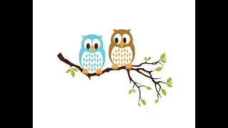 Two Little Owls Schoolhouse PreK Classroom
