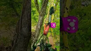 HAVE TRUST IN YOUR GEAR 💪💥‼️ #treework #youtubeshorts #shorts #arborist #trust #skills