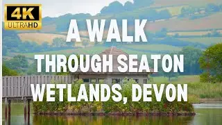 4K walk through Seaton Wetlands, Devon, UK. Starting Seaton Jurassic Car Park, ending at Colyford.